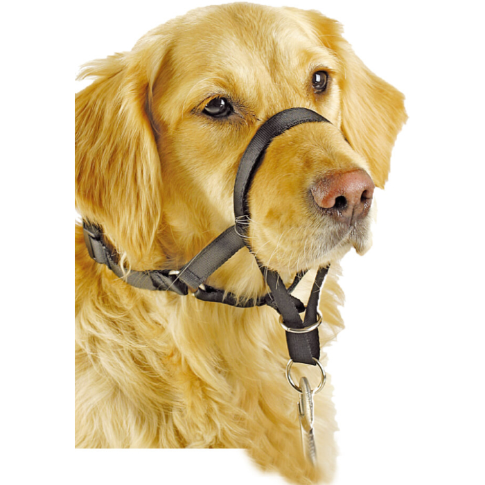 Pawise "Head Collar" aide d‘éducation pour chiens, noir 