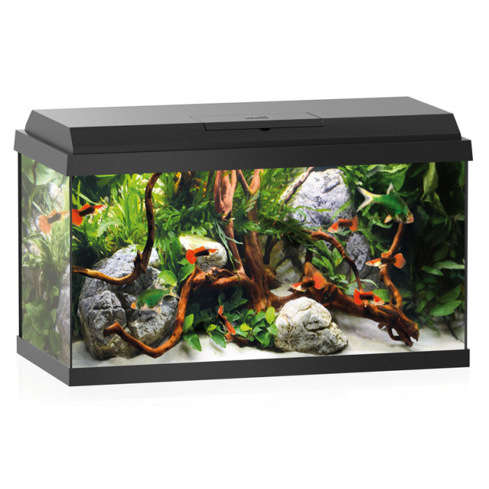 Juwel Aquarium Primo 60 LED, schwarz