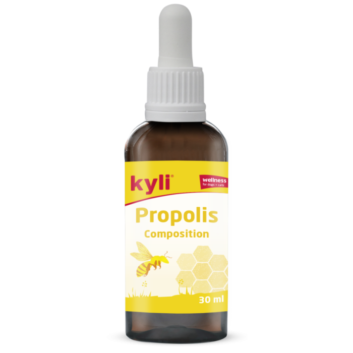 kyli Wellness Propolis Composition