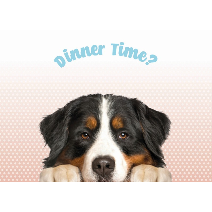 Plentygifts Set de table "Dinner Time" avec bouvier bernois