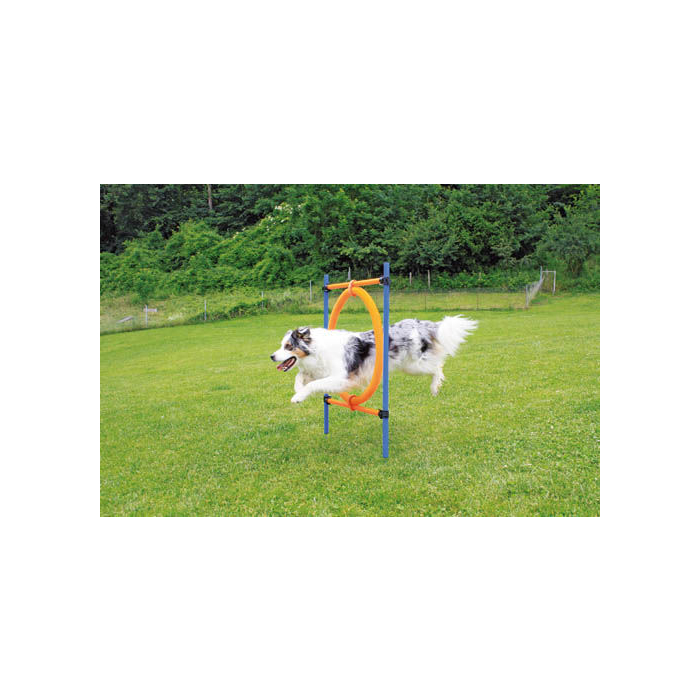 Pawise Anneau de saut pour Agility, 2en 1