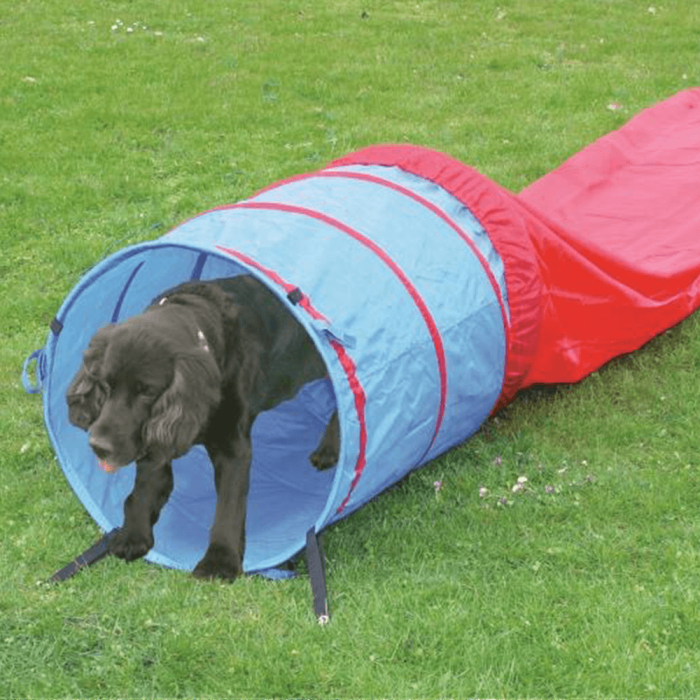 Pawise Agility Tunnel 5m / 60cm - rouge/bleu