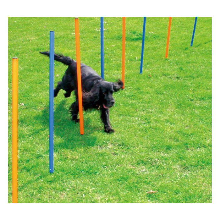 Pawise Agility Set de slalom, 12 perches - bleu/orange