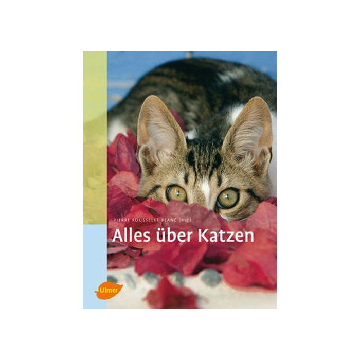 CZ Alles über Katzen, Buch, gebunden, 288 Seiten