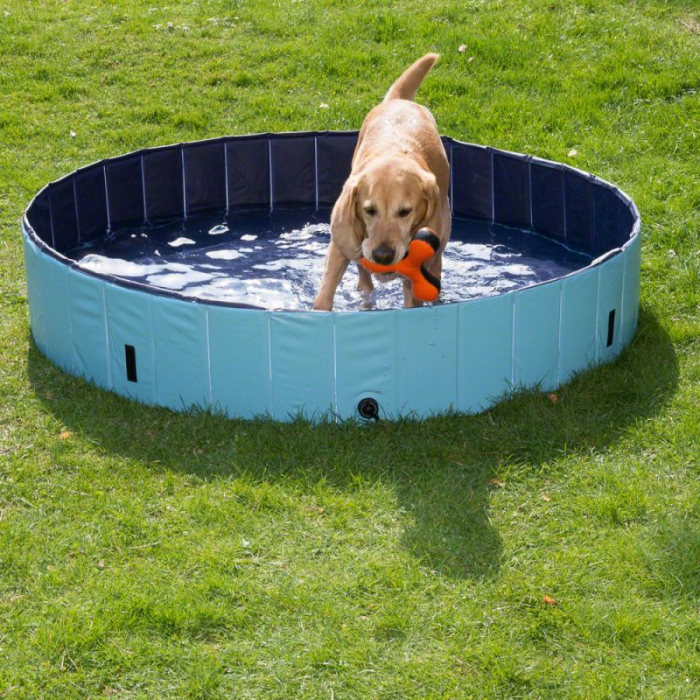 PW Piscine pour chien, bleu clair