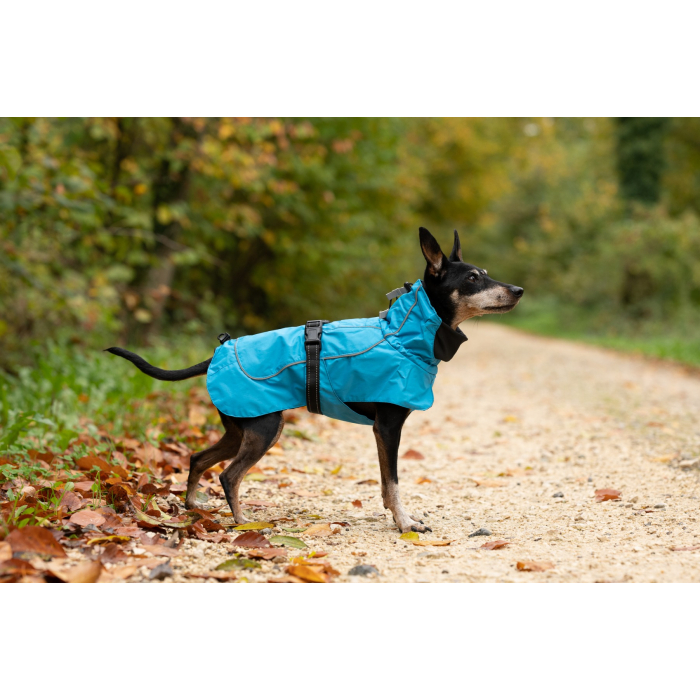 deek Imperméable pour chiens "Poseidon", bleu