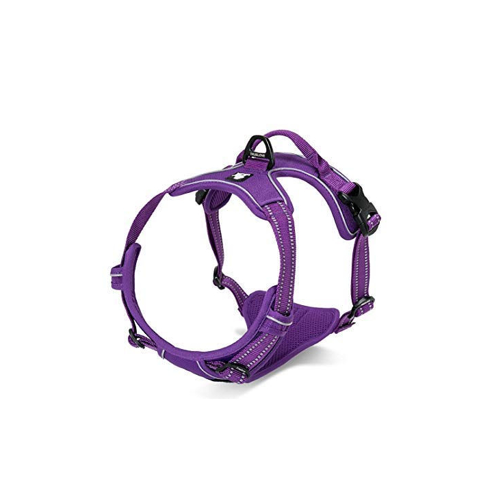 Harnais pour chiens "Leto", violet