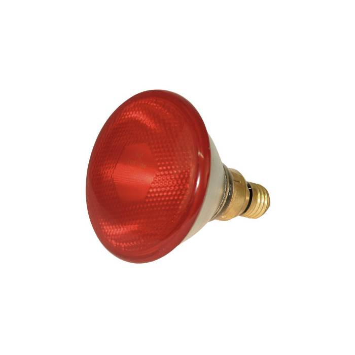 Kerbl Lampe infrarouge économique (1 pièce)