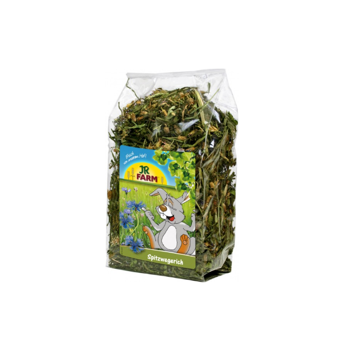 JR Farm Plantain lancéolé - 100g
