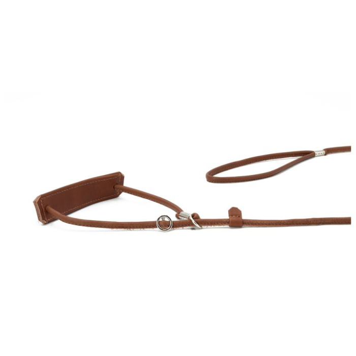 Maul Laisse de présentation avec protection du larynx, réglable, 1.5m/4mm | cognac