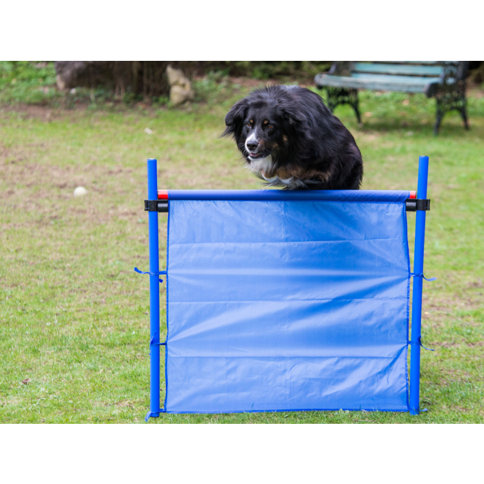 PY Petcenter Obstacle Obedience