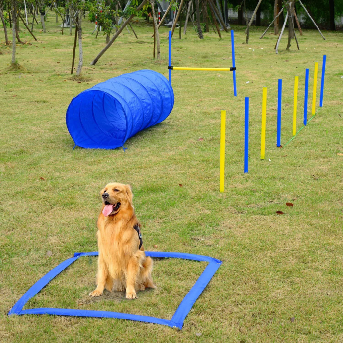 Pawise Set Agility (tunnel, piquets de slalom, haie + ruban de boxe)