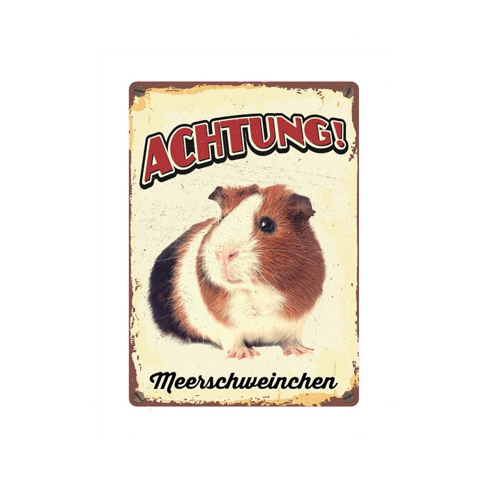 Warnschild "Achtung Meerschweinchen", 21x15cm