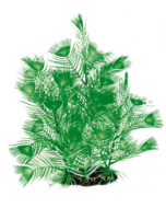 DE Amazonas Fantasy Plant AL vert - 20cm