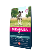 DE Eukanuba Adult, saumon - Large/XL | Nourriture sèche pour chiens