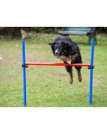 PY Petcenter Obstacle Agility