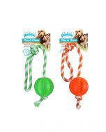 Pawise "Play + Chew" Balle sur corde, assortie