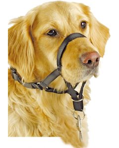 Pawise "Head Collar" aide d‘éducation pour chiens, noir 