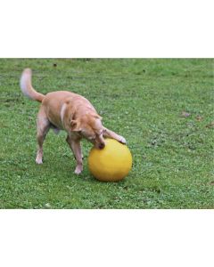 Kerbl Balle de jeux pour chiens en plastique, jaune, 30cm