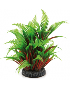 DE Amazonas Fantasy Plant QL vert-rouge - 20cm