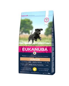 DE Eukanuba Junior Large, poulet | Nourriture sèche des chiens juniors