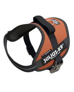 Julius-K9 Harnais IDC®Power pour chiens - orange cuivré