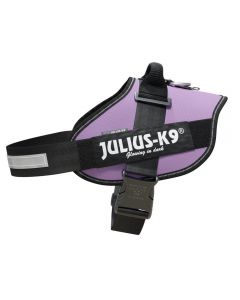 Julius-K9 Harnais IDC®Power pour chiens - violet