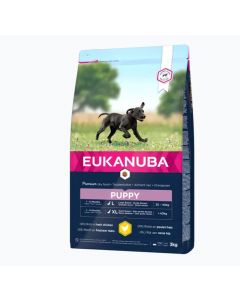 DE Eukanuba Puppy Large | Alimentation complète pour chiens