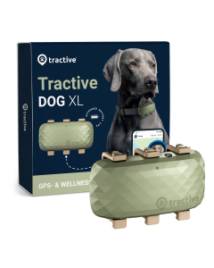 Tractive GPS DOG XL - Vert | Traceur GPS pour chiens