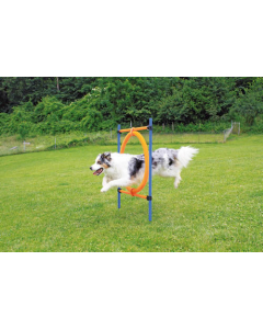 Pawise Anneau de saut pour Agility, 2en 1