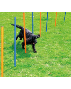 Pawise Agility Set de slalom, 12 perches - bleu/orange