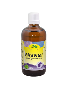 BirdVital 