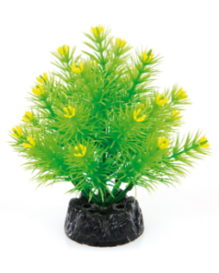 DE Amazonas Fantasy Plant QA-65 vert clair - 15cm