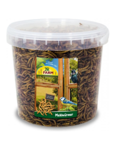 JR Farm Vers de farine dans un seau - 400g