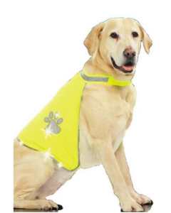 Pawise Gilet de sécurité pour chiens, néon 