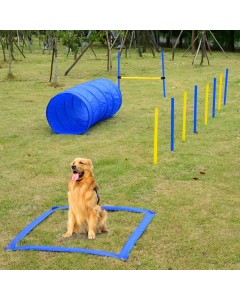 Pawise Set Agility (tunnel, piquets de slalom, haie + ruban de boxe)