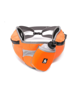 Truelove Ceinture de jogging | En 3 couleurs
