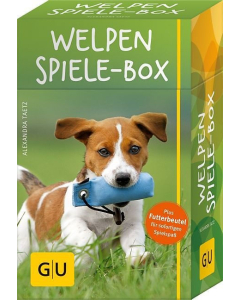 Welpen-Spiele-Box