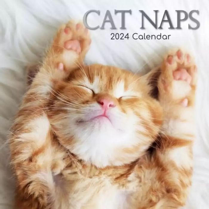 Plentygifts Calendrier 2024 - Amoureux des chats