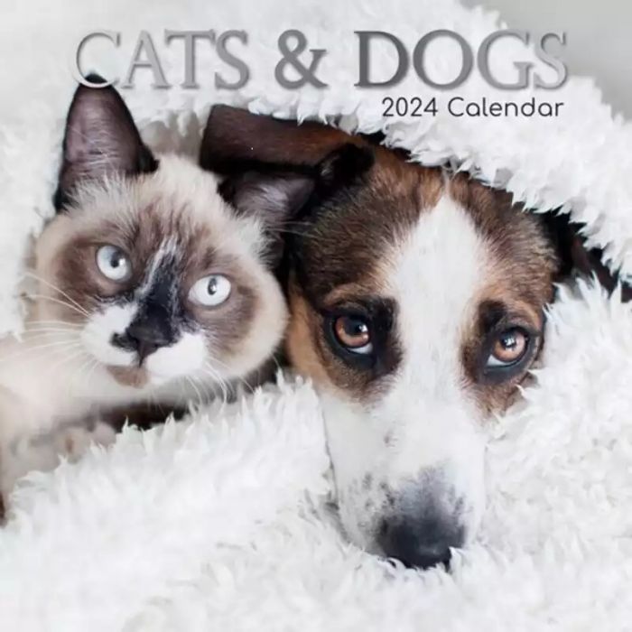 Plentygifts Calendrier 2024 - chats et chiens