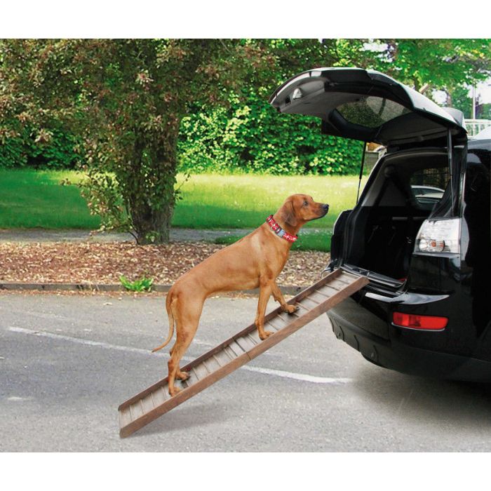 Boarding, rampe d'auto pour chiens en bois
