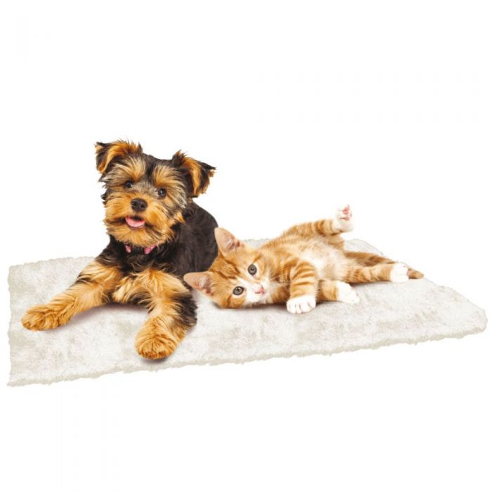 Ceinture dorsale chauffante pour chats et chiens