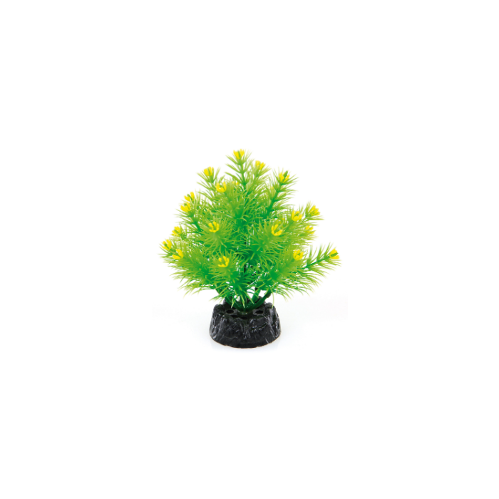 DE Amazonas Fantasy Plant QA-65 vert clair - 15cm