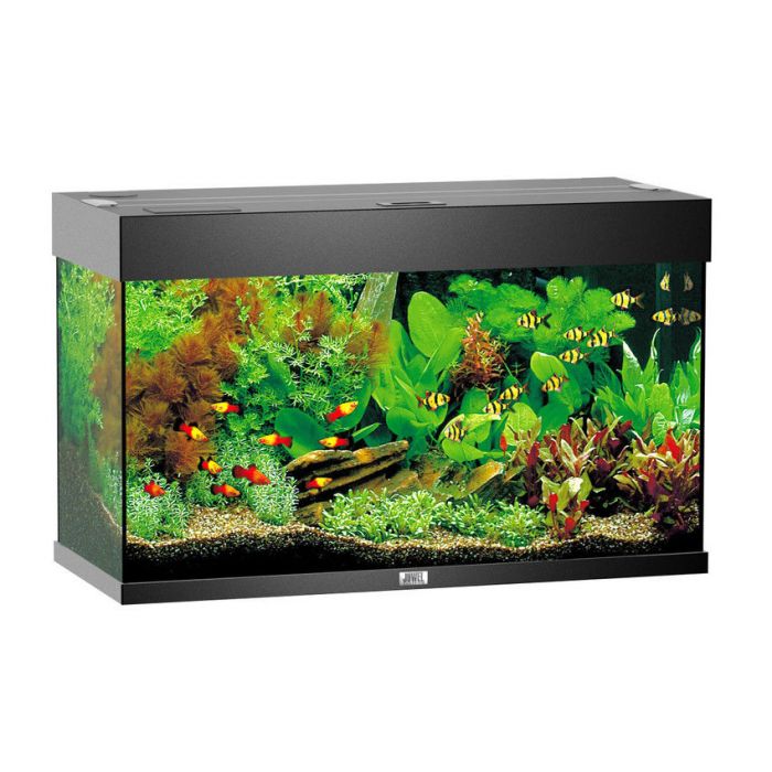 Juwel Aquarium Rio 125 LED - 81x36x50cm