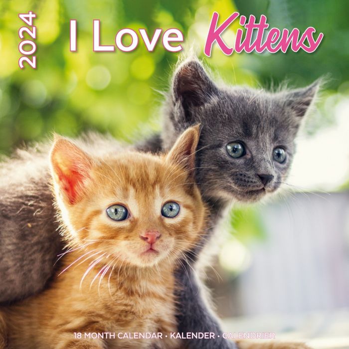 Calendrier 2024 Chatons