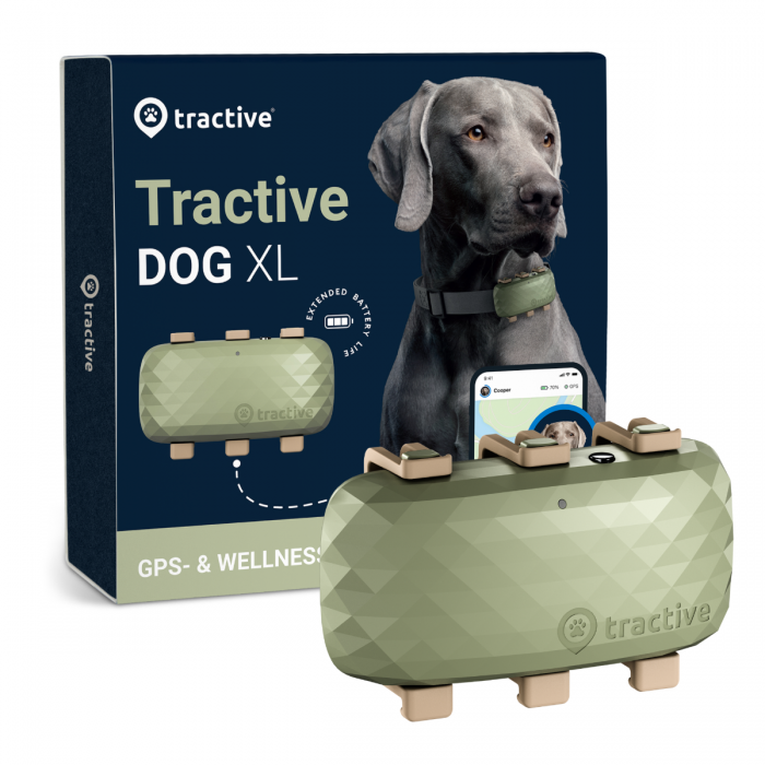 Tractive GPS DOG XL - Vert