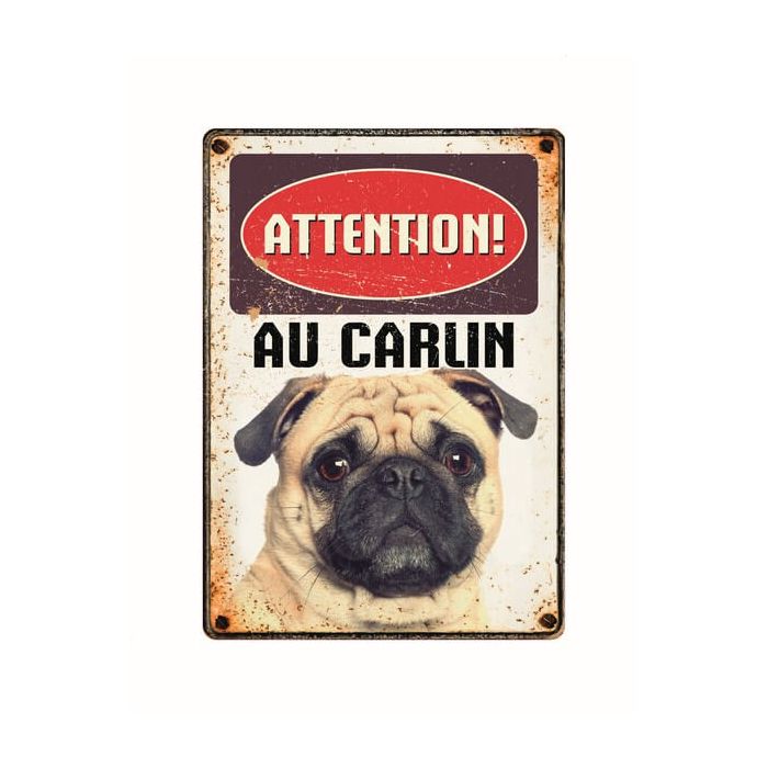 Warnschild "Attention au Carlin", 21x15cm