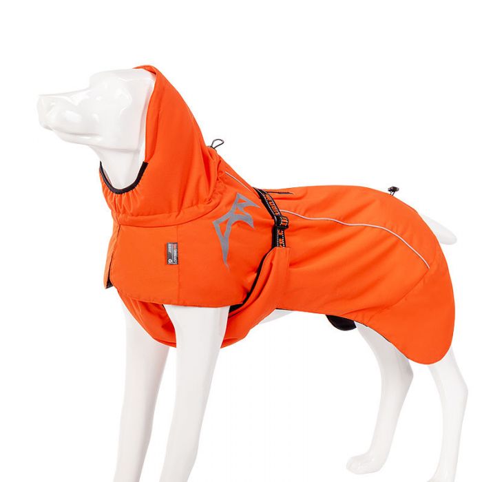 manteau chien orange