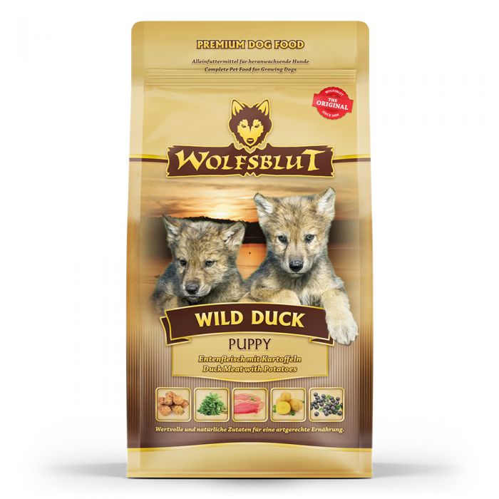 WOLFSBLUT Wild Duck chiots