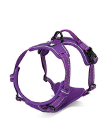 Harnais pour chiens "Leto", violet